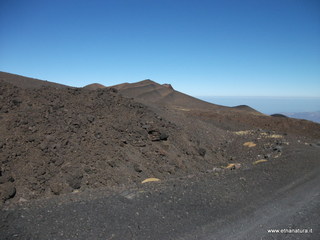 nte Pizzillo-21-10-2012 11-02-57